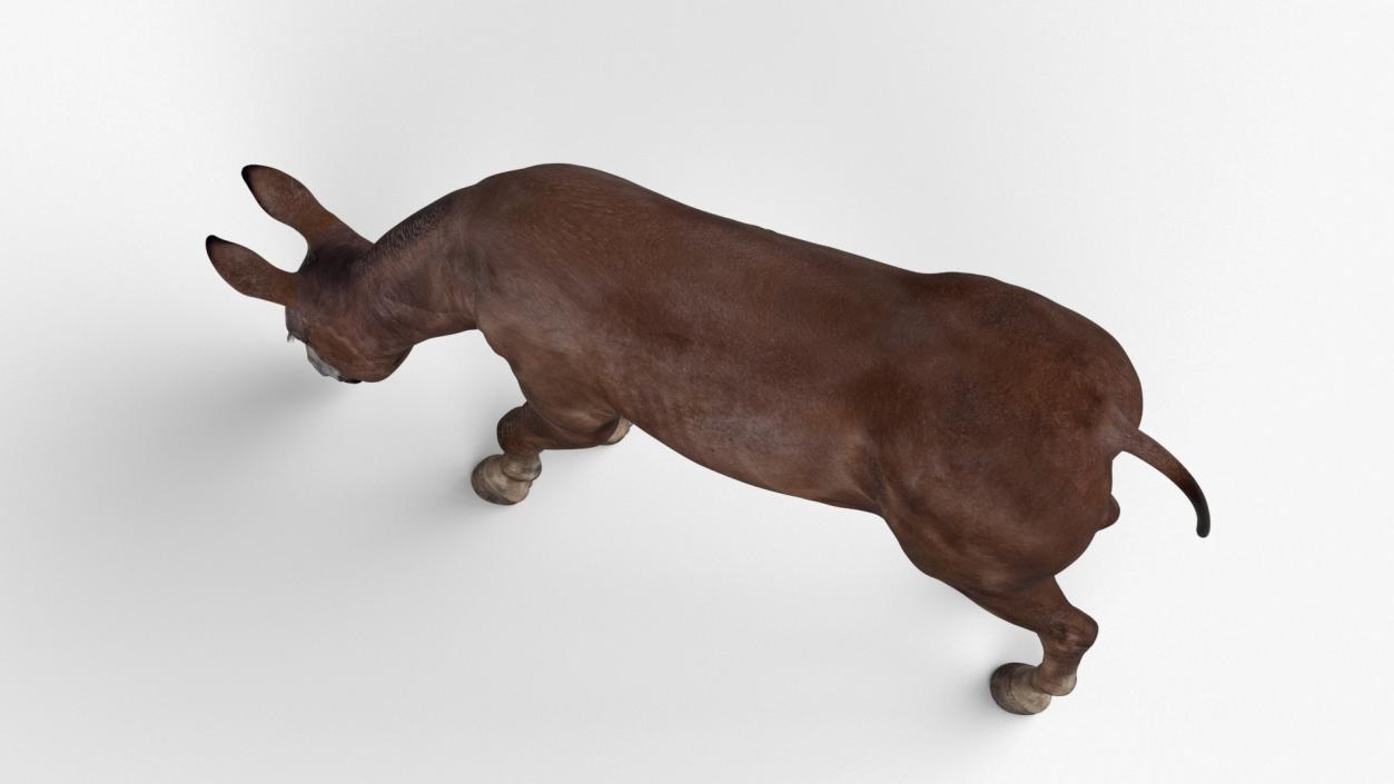 3D model Eating Bay Mule