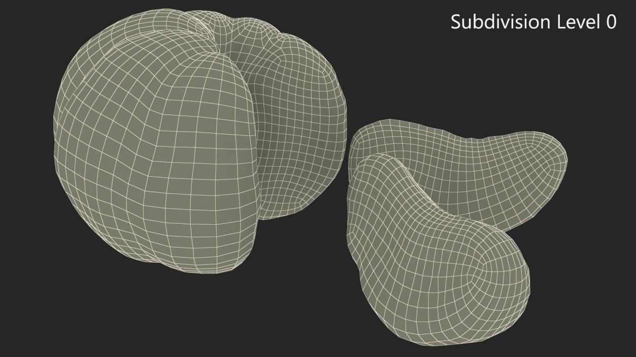 Peeled Tangerine Fruit with Slices 3D model