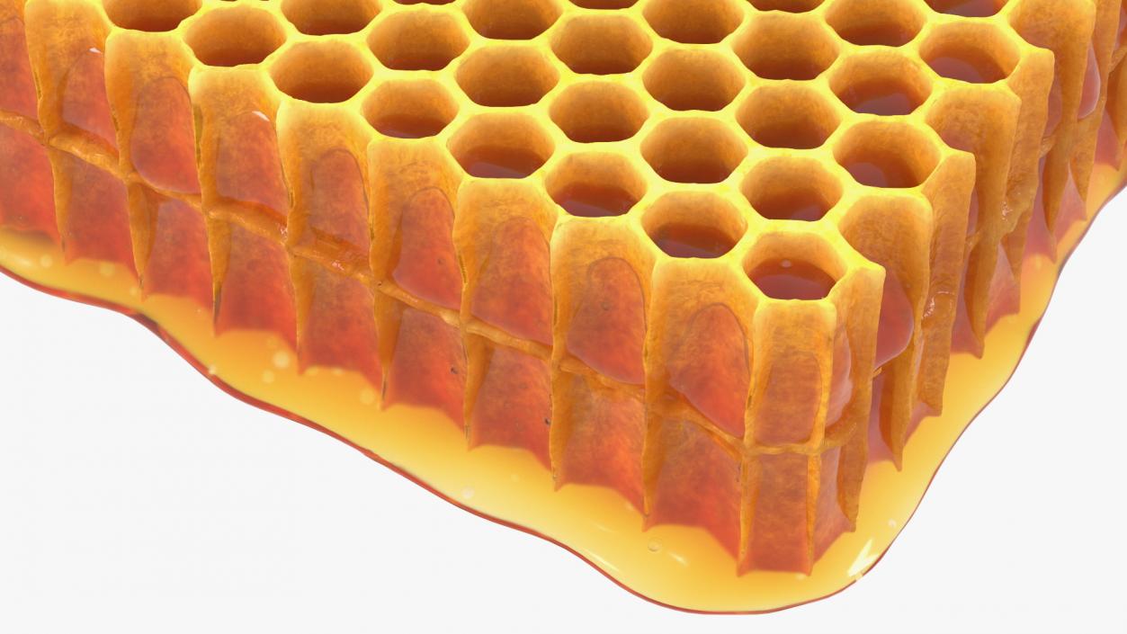 Honeycombs Set 3D model