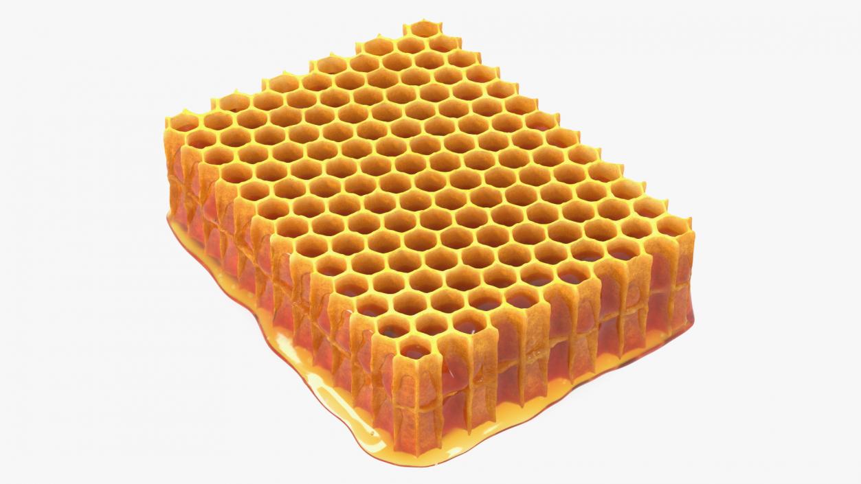 Honeycombs Set 3D model