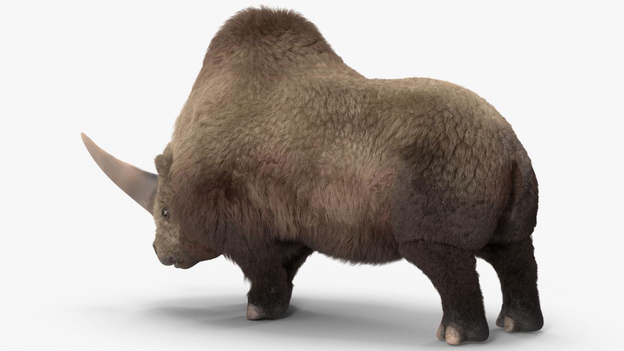 3D Elasmatherium Standing Pose Fur