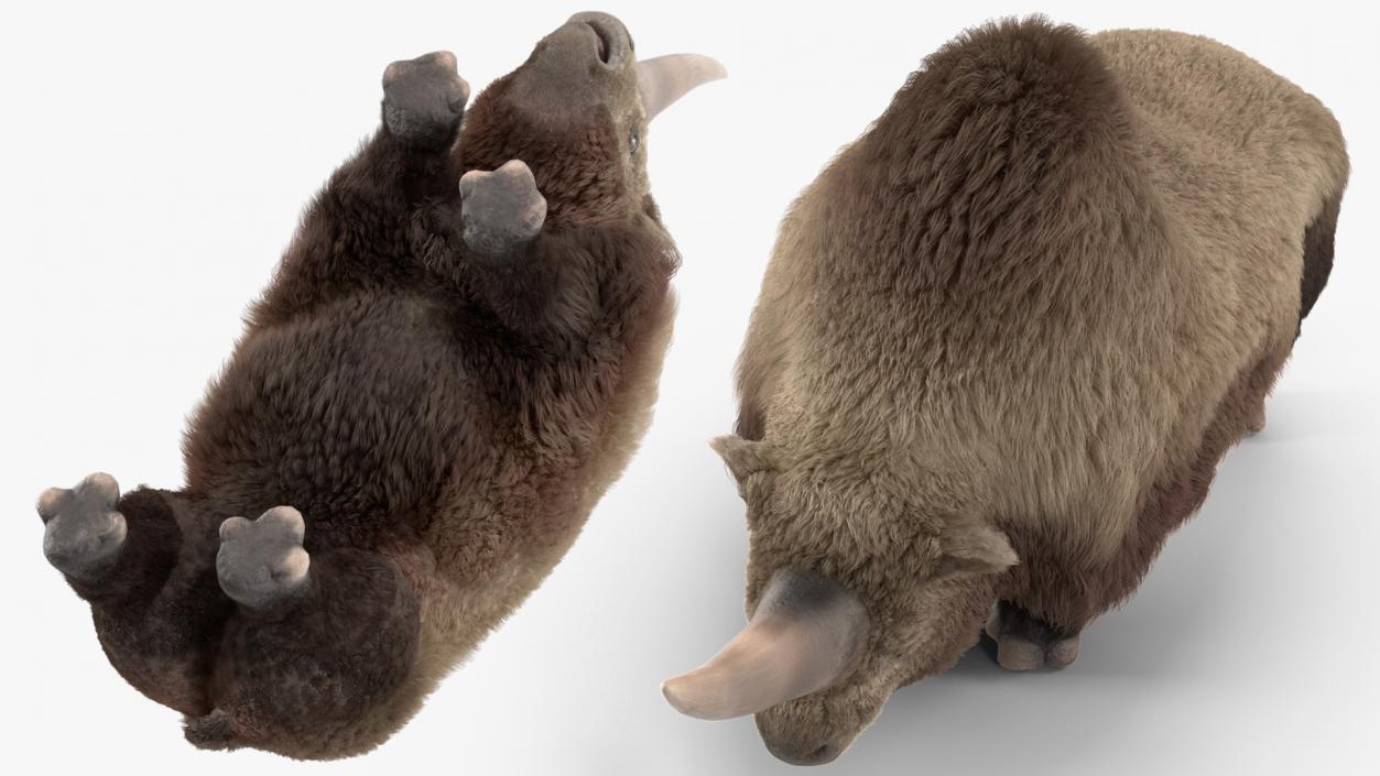 3D Elasmatherium Standing Pose Fur