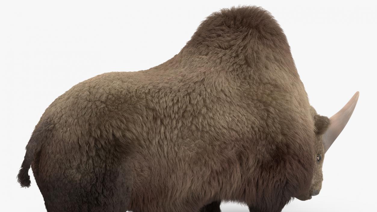 3D Elasmatherium Standing Pose Fur