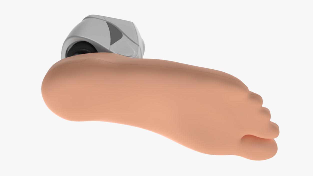 Bionic Prosthesis with Rubber Foot 3D model