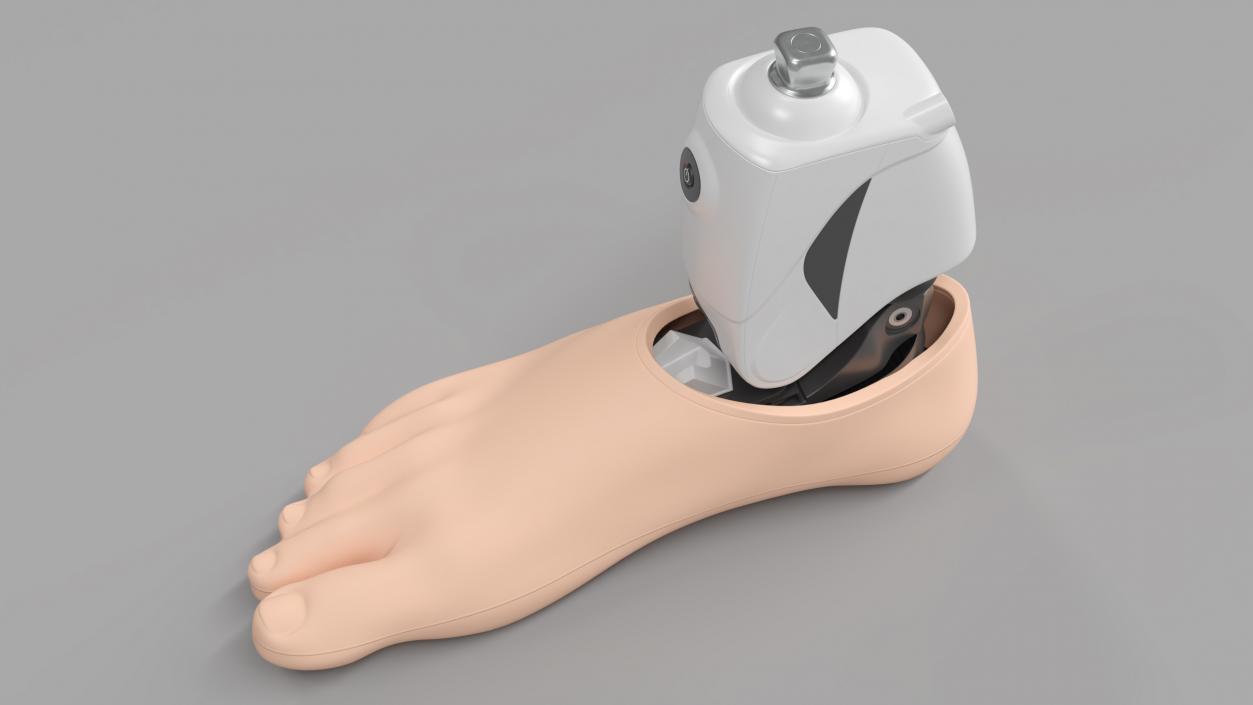 Bionic Prosthesis with Rubber Foot 3D model