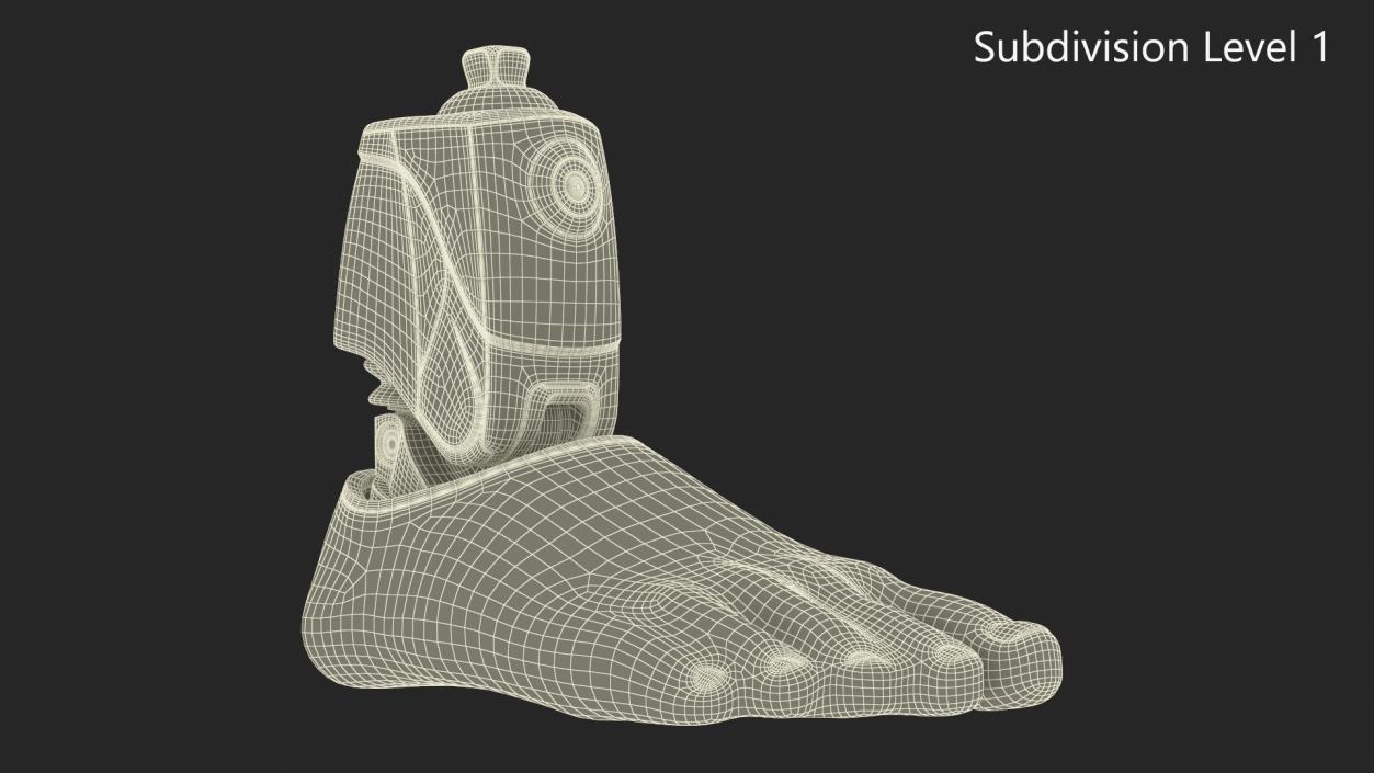 Bionic Prosthesis with Rubber Foot 3D model