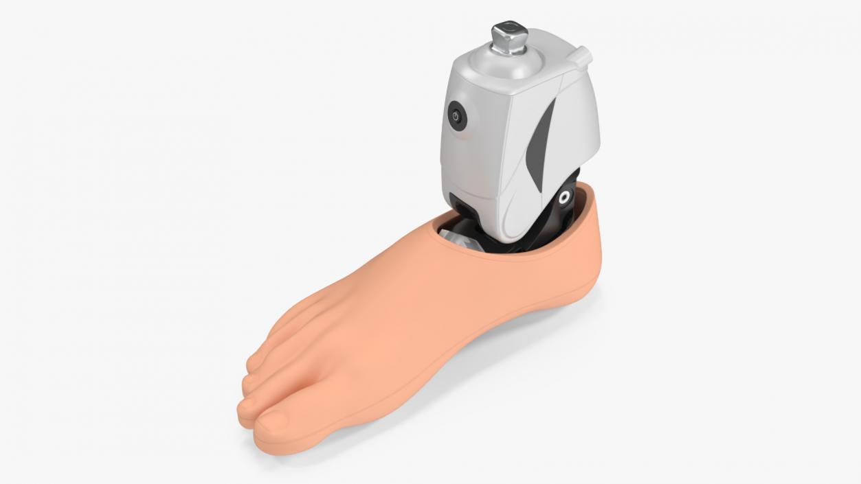 Bionic Prosthesis with Rubber Foot 3D model