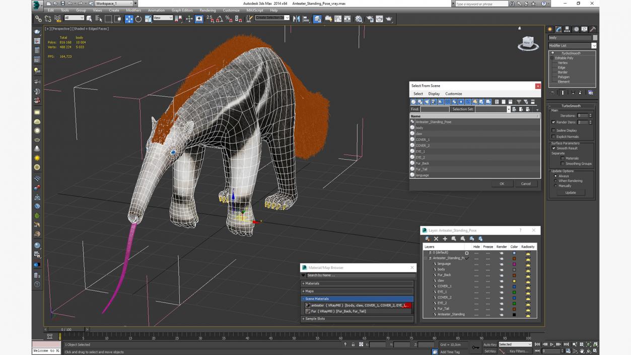 Anteater Standing Pose 3D