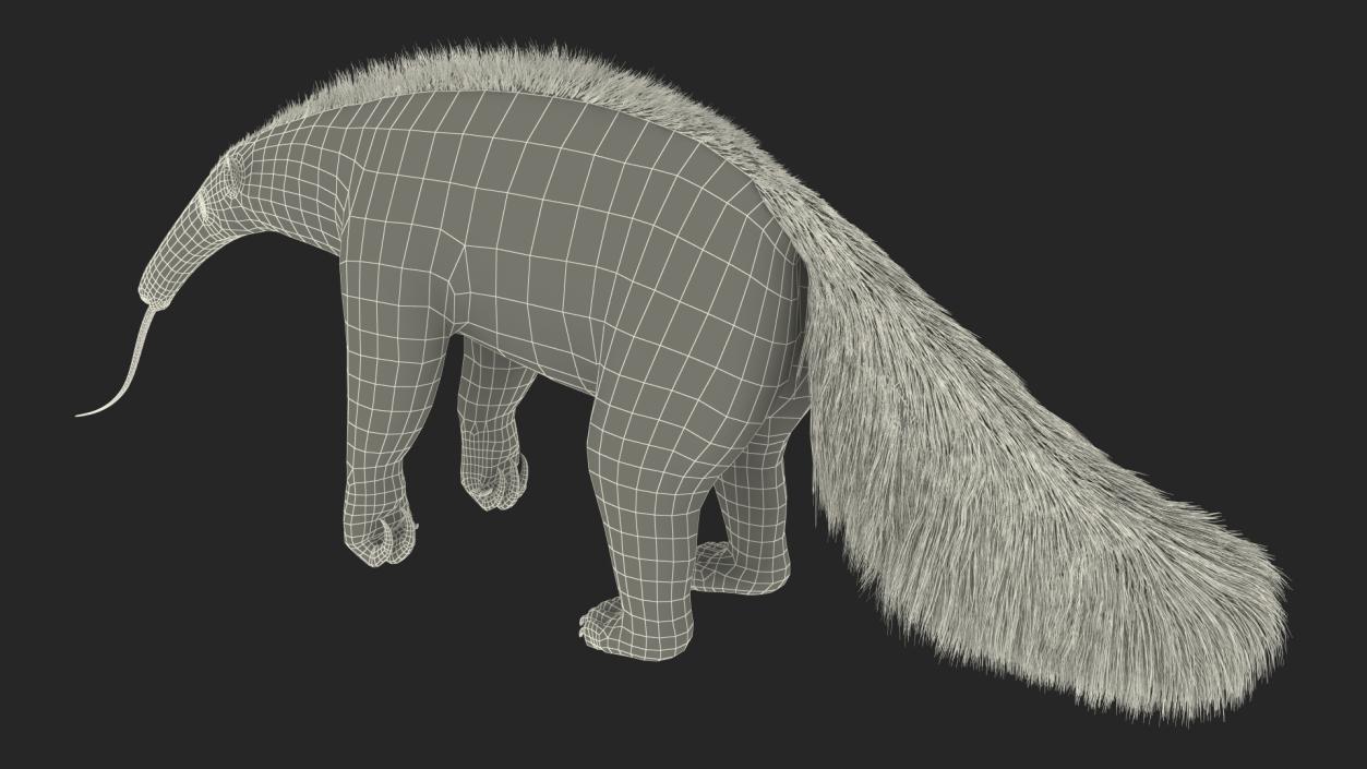 Anteater Standing Pose 3D