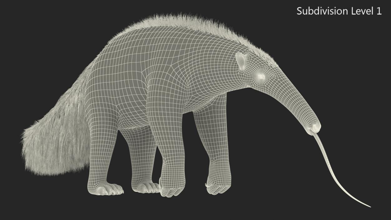 Anteater Standing Pose 3D