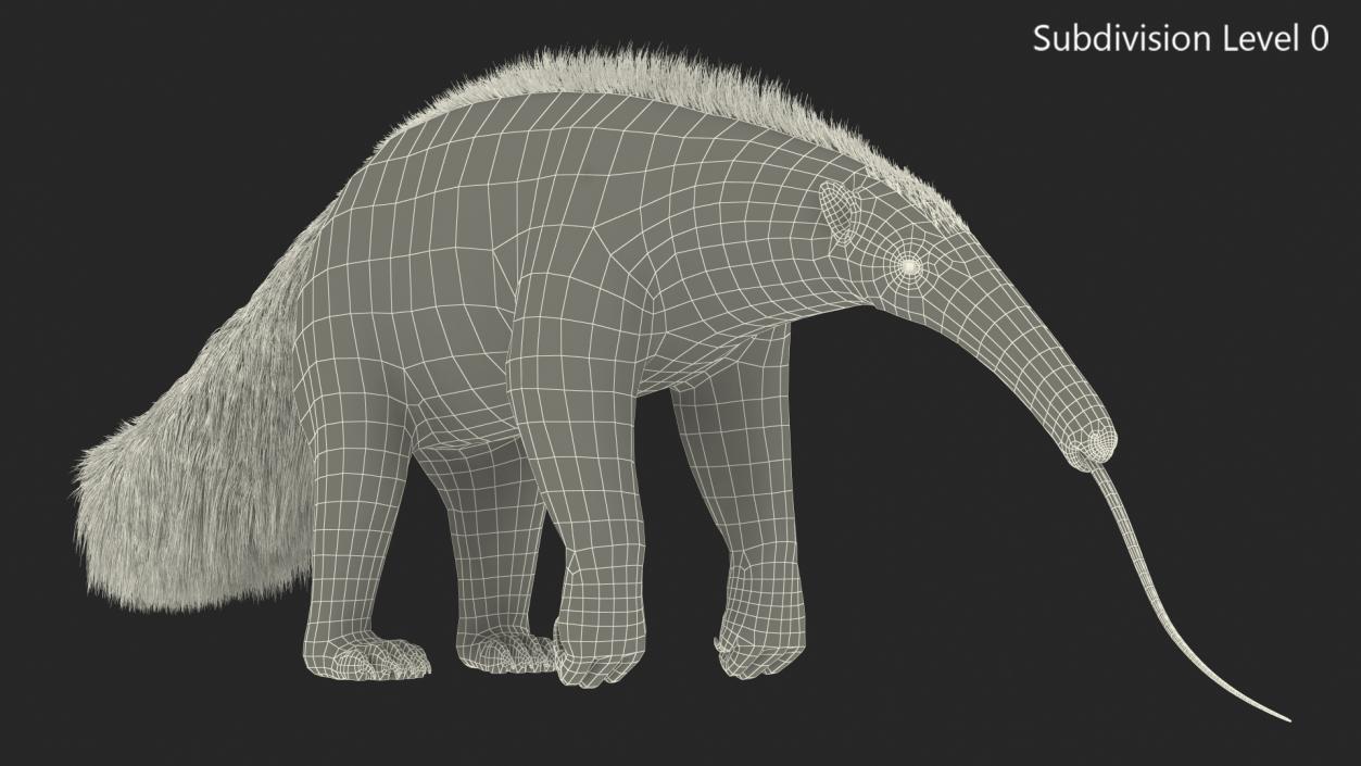 Anteater Standing Pose 3D