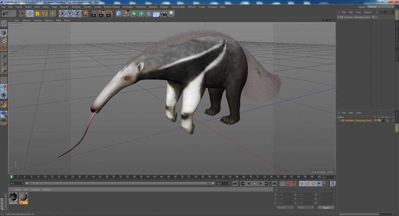 Anteater Standing Pose 3D