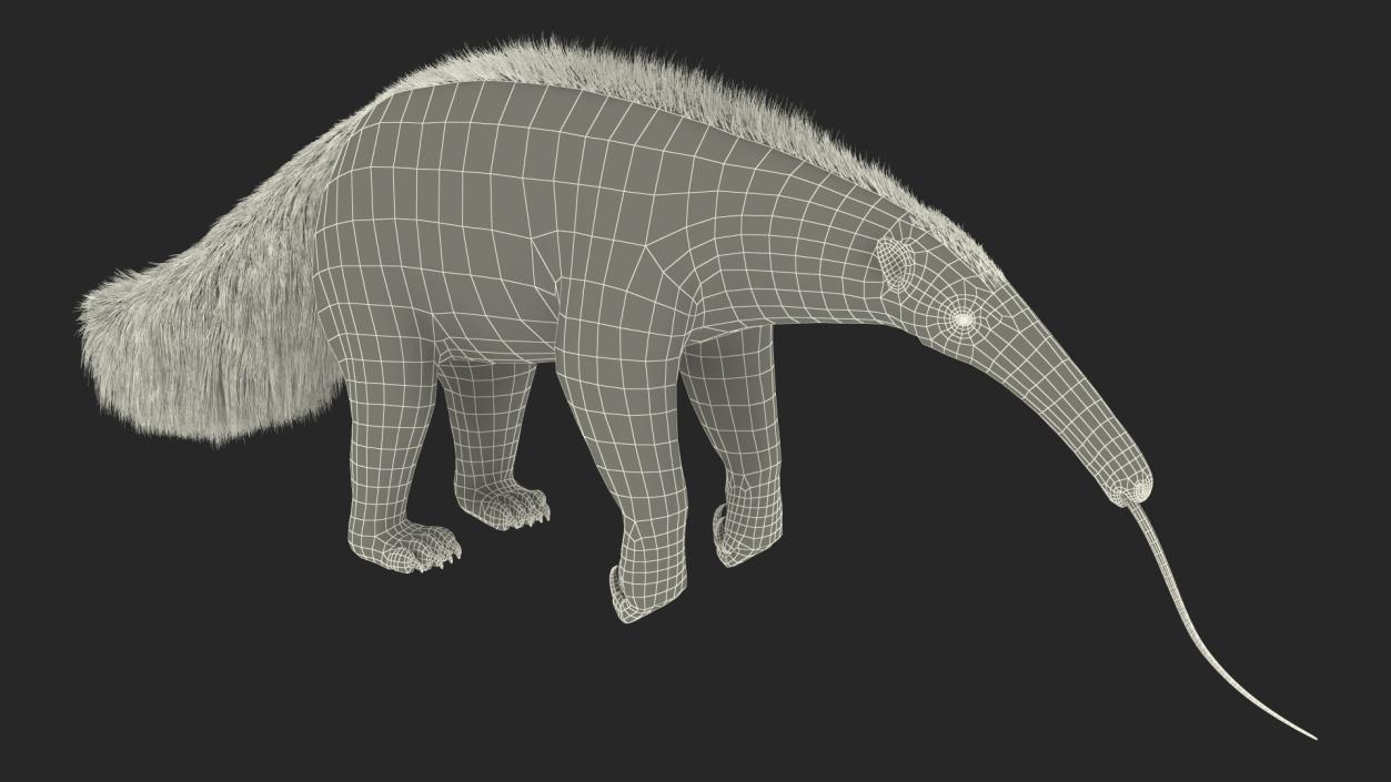 Anteater Standing Pose 3D