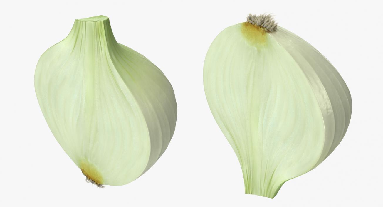 3D model Half Onion