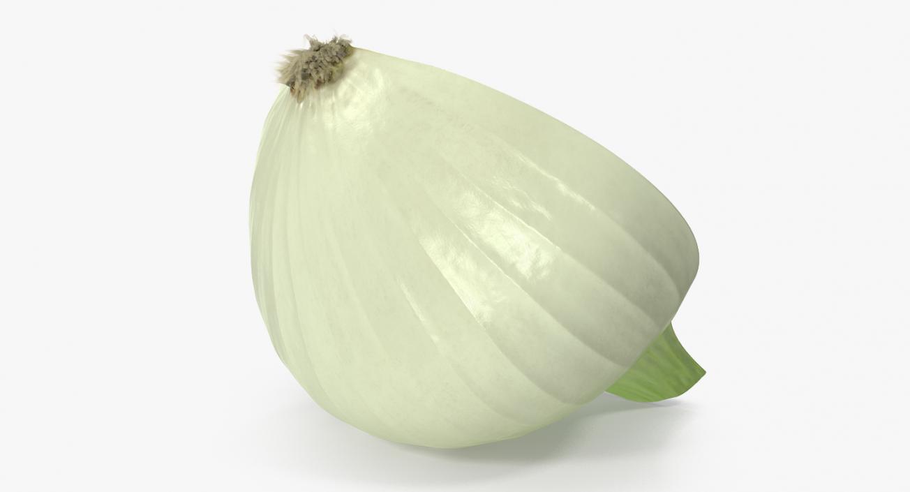 3D model Half Onion