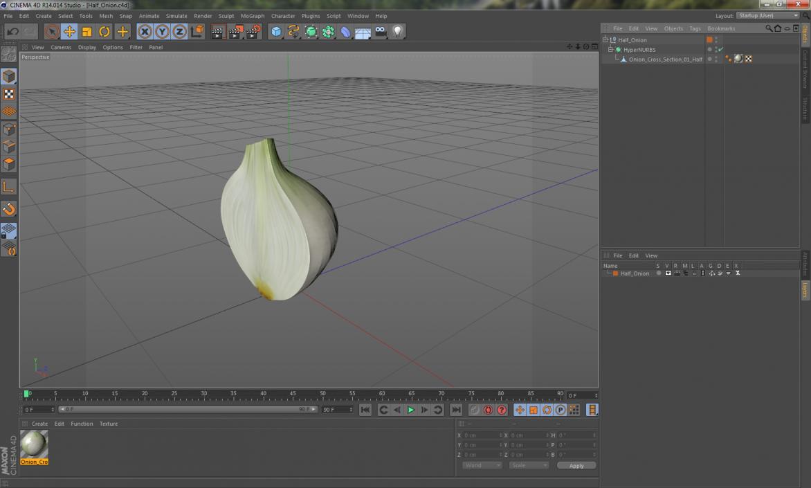 3D model Half Onion