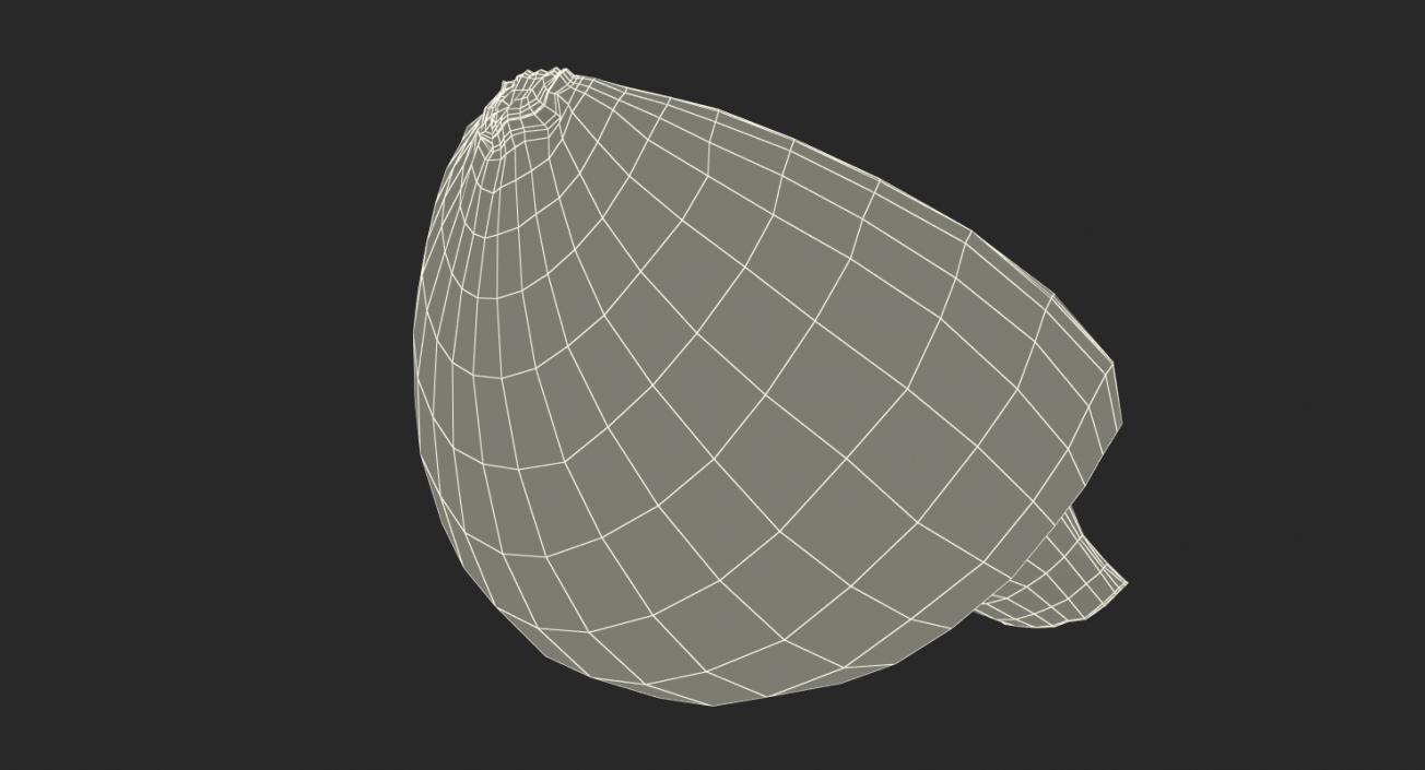 3D model Half Onion