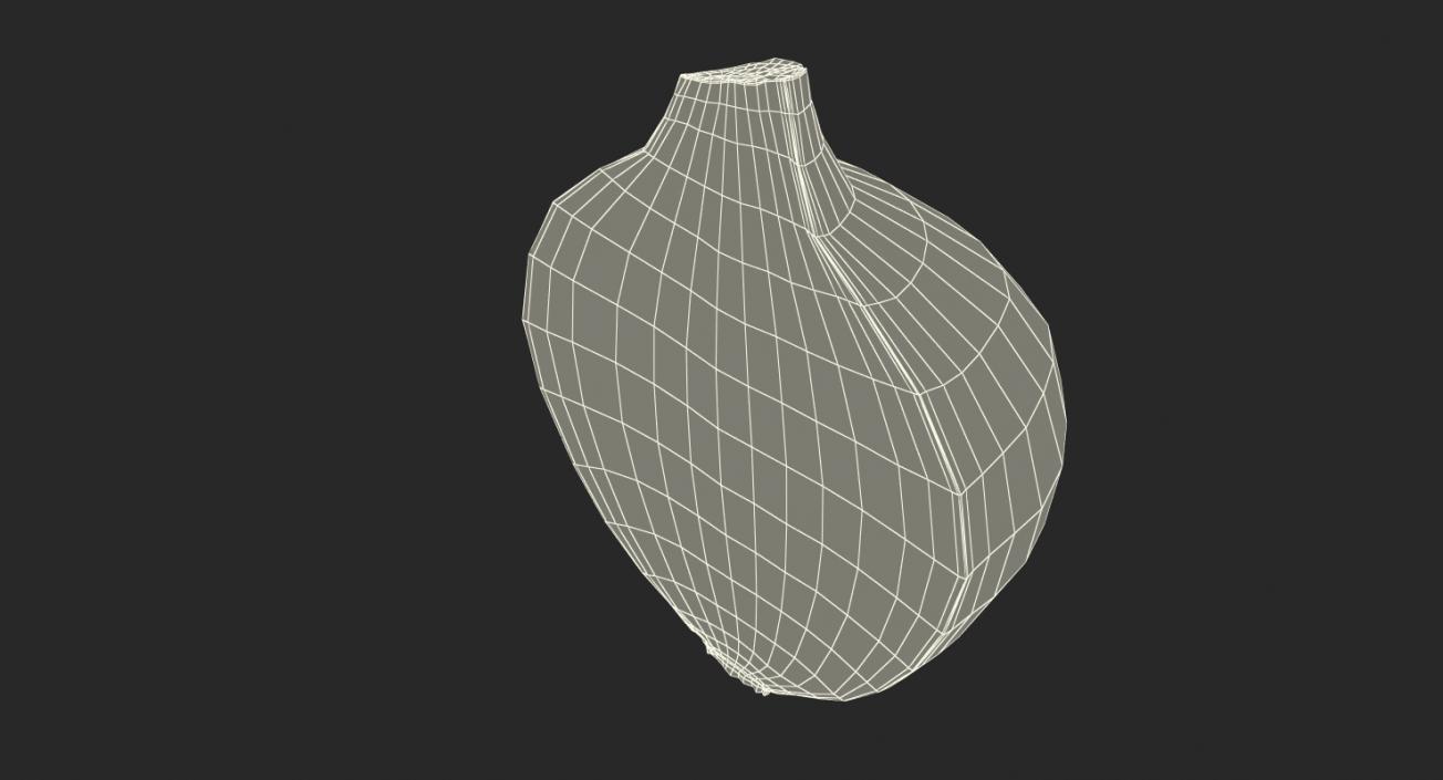 3D model Half Onion