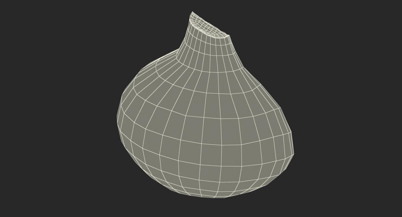 3D model Half Onion