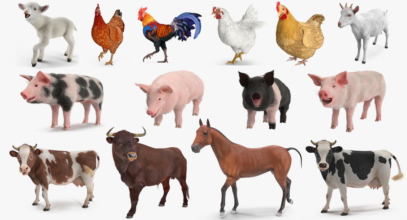 3D Rigged Farm Animals Big Collection 3