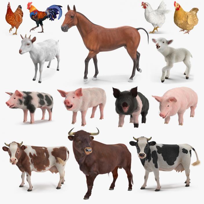 3D Rigged Farm Animals Big Collection 3