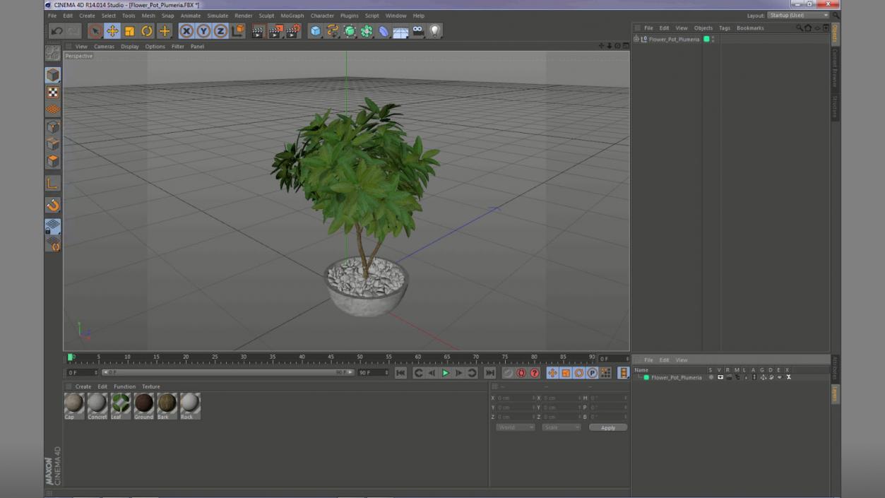 Flower Pot Plumeria 3D model