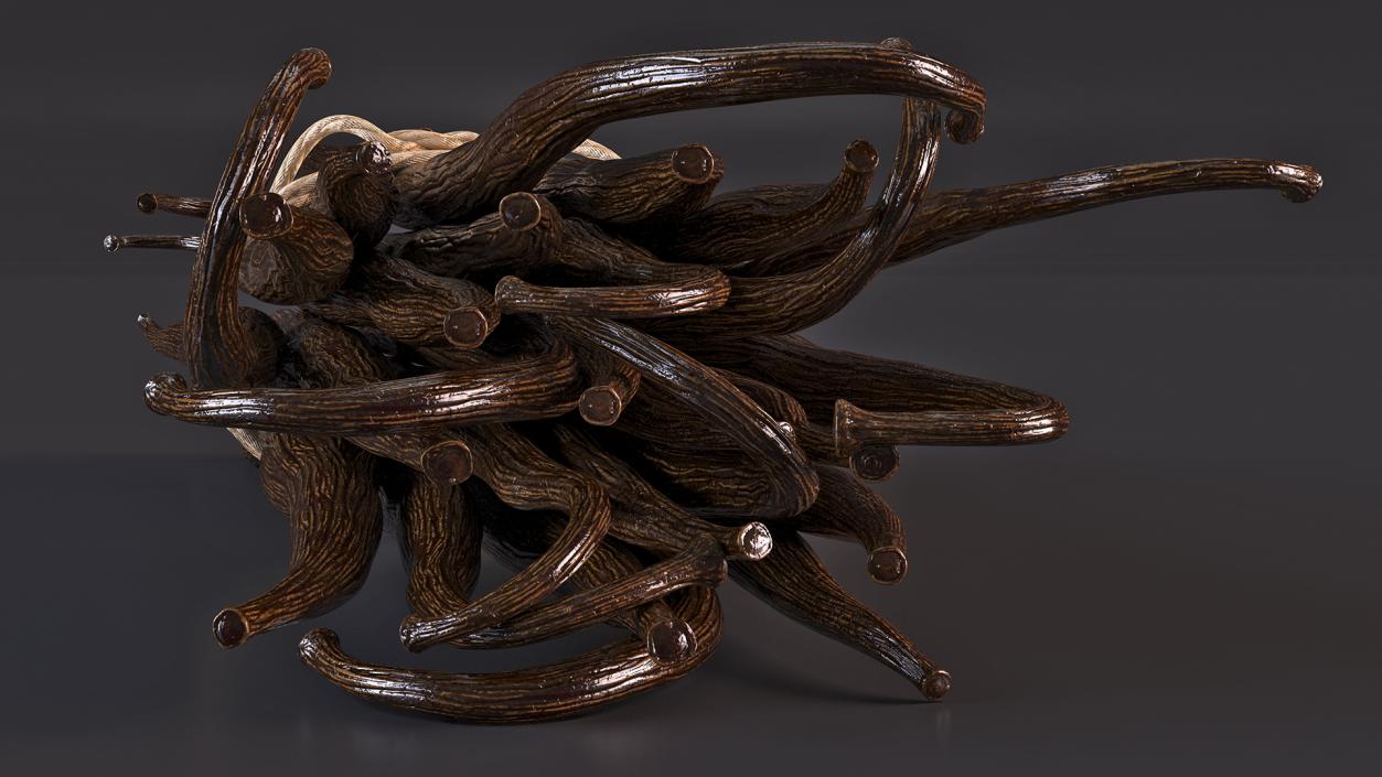 Spices Collection 3 3D model