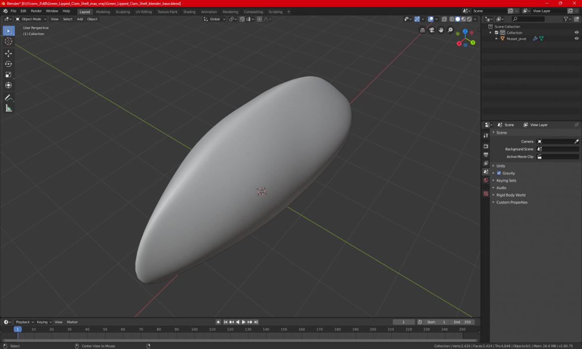 3D Green Lipped Clam Shell model