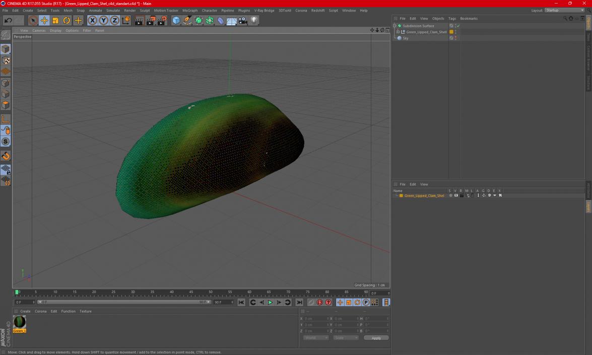 3D Green Lipped Clam Shell model