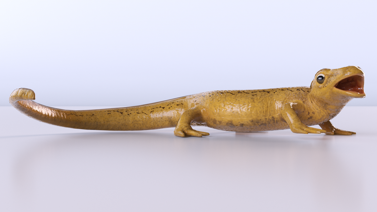 3D Smooth Newt Rigged model