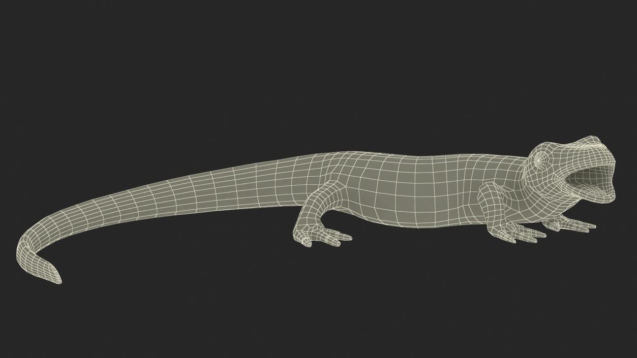 3D Smooth Newt Rigged model