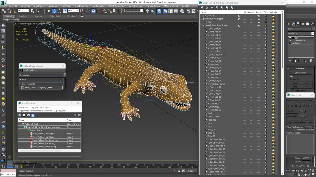 3D Smooth Newt Rigged model