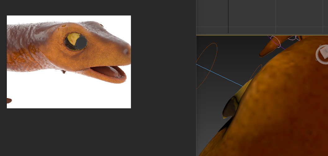 3D Smooth Newt Rigged model