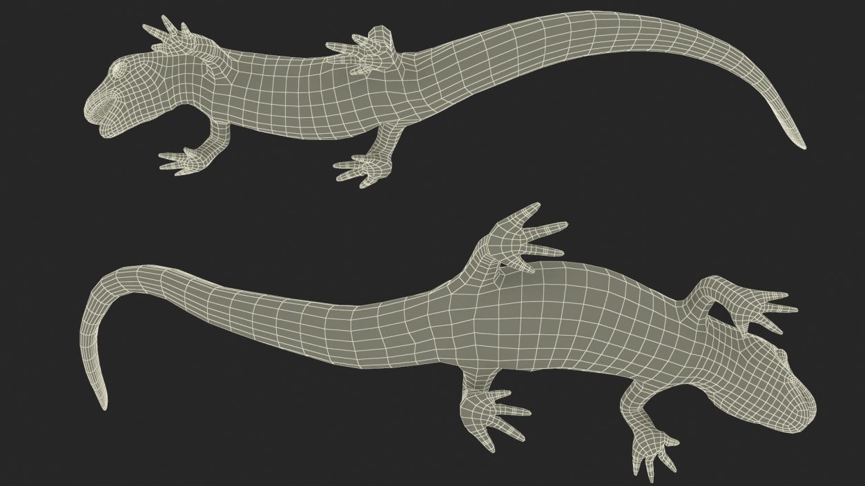 3D Smooth Newt Rigged model