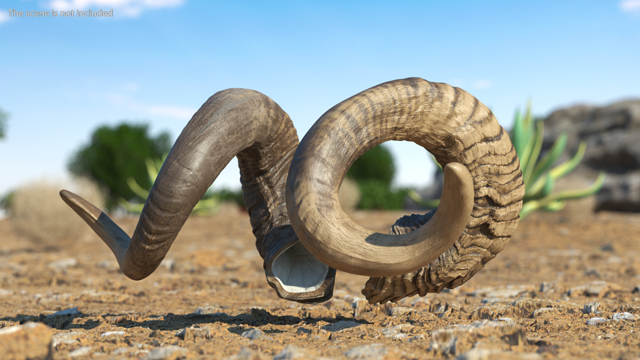 3D model Animal Twisted Horns Dark