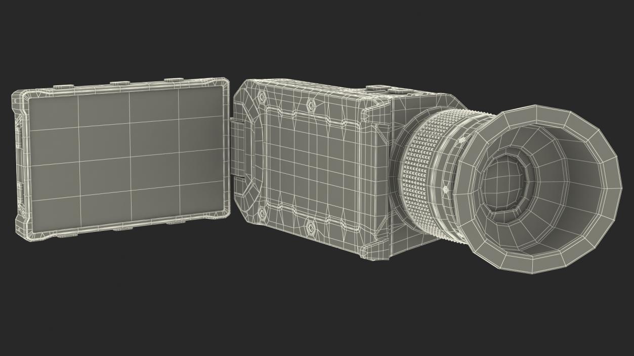 3D ViewFinder For Digital Cinema Camera