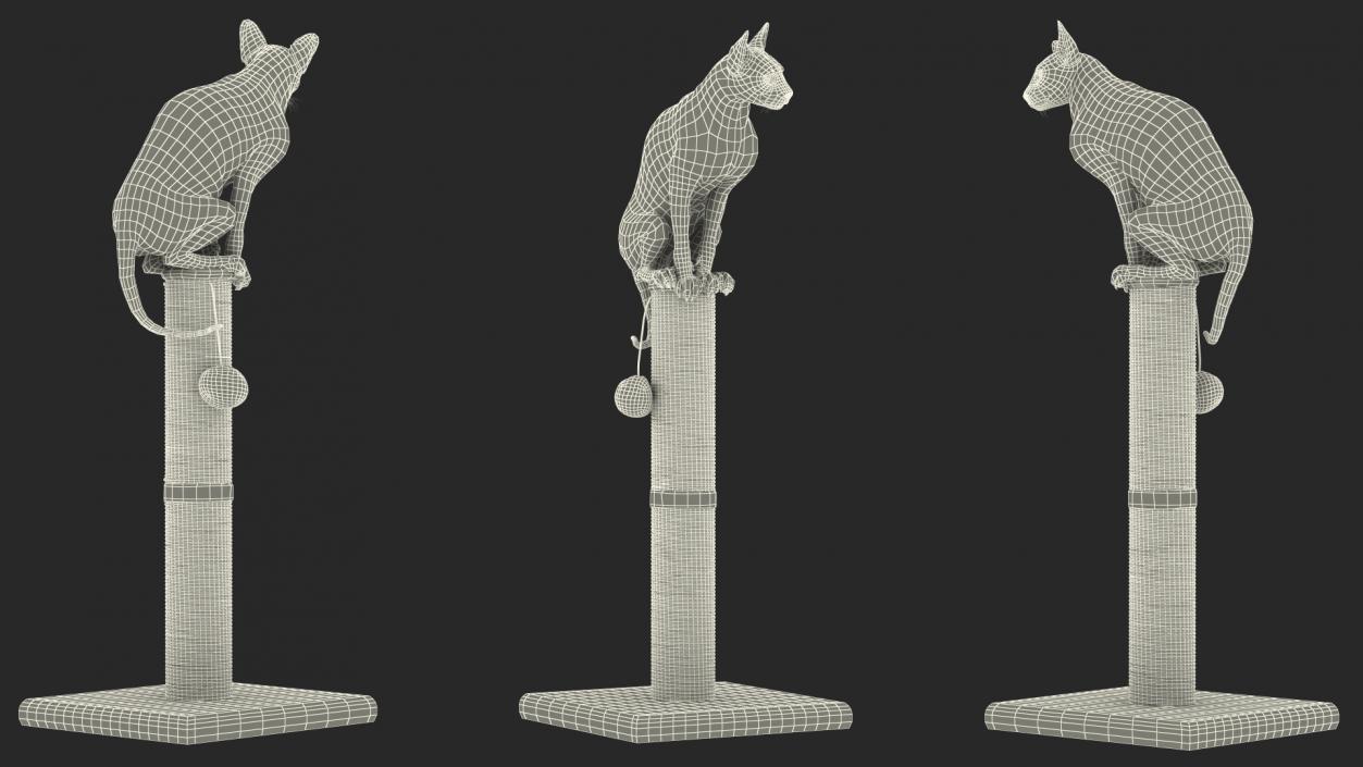 Cat Sitting On A Scratching Post 3D