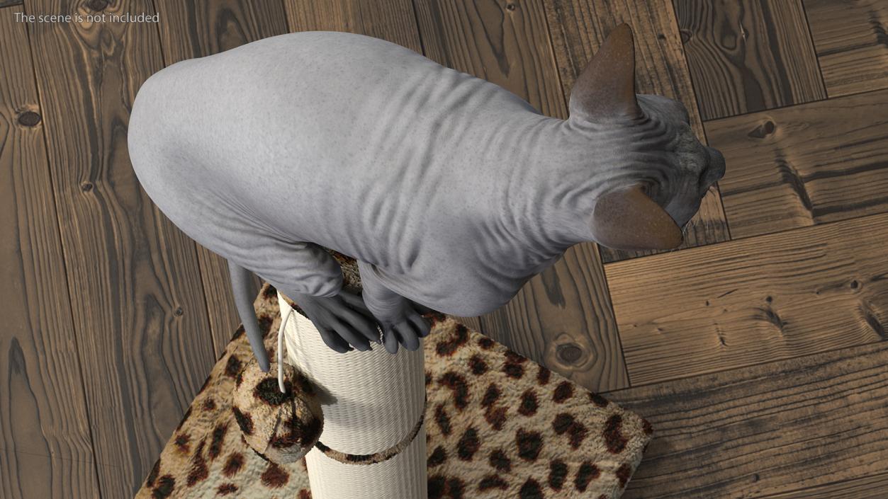 Cat Sitting On A Scratching Post 3D