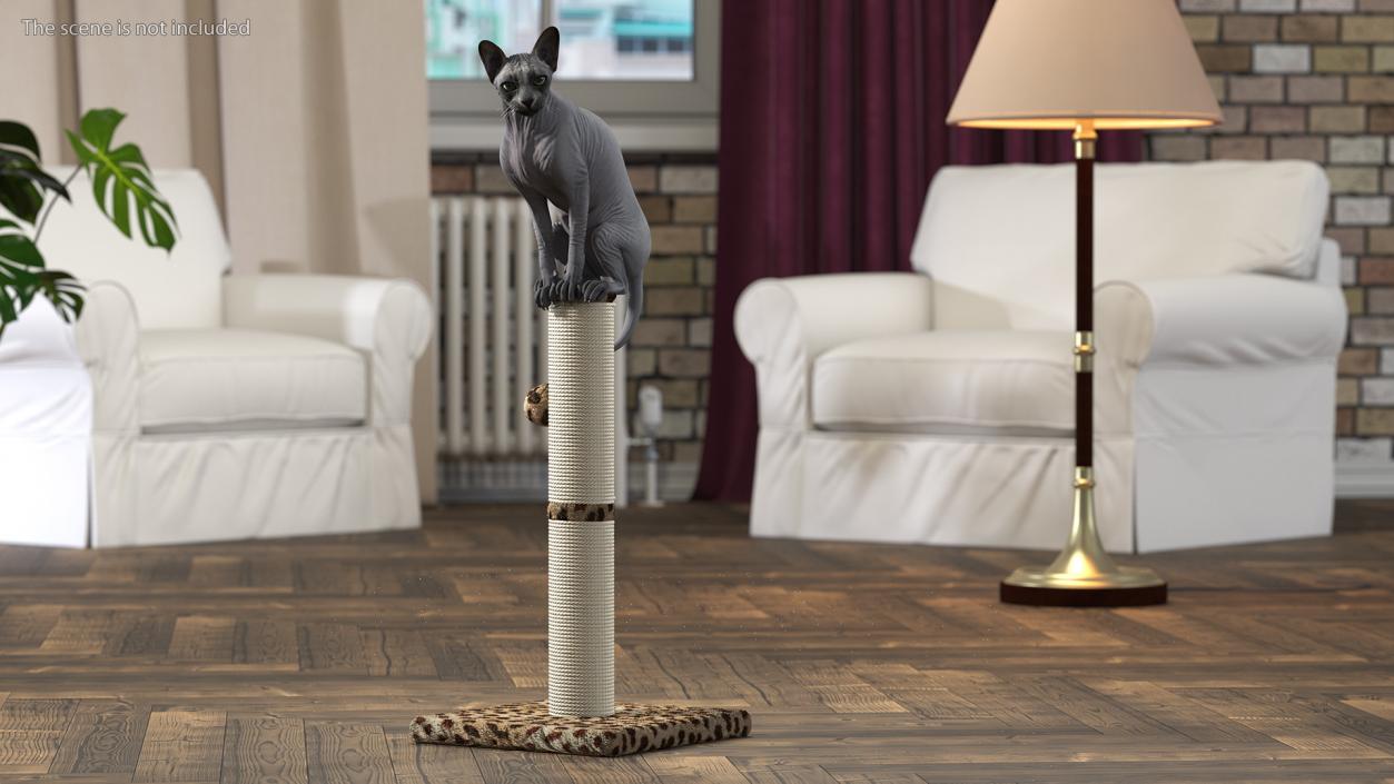 Cat Sitting On A Scratching Post 3D