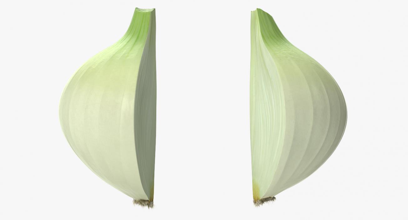 3D Onion Collection 2 model