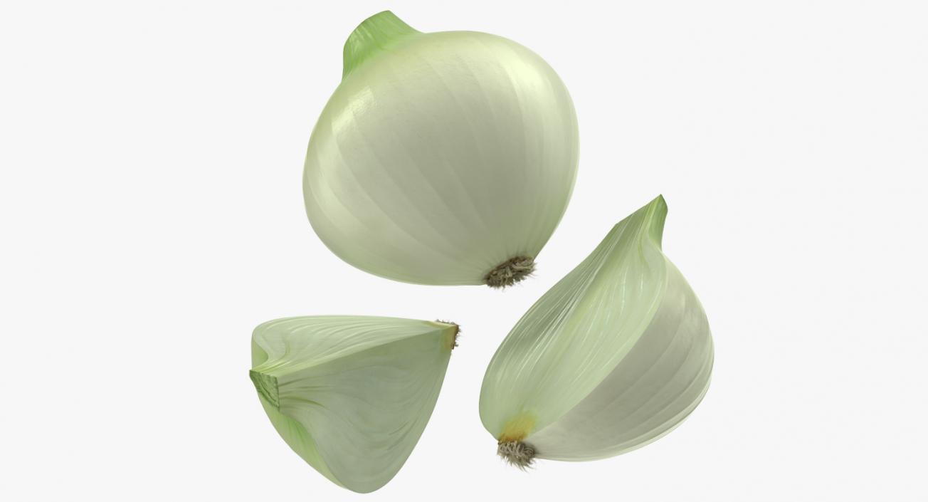 3D Onion Collection 2 model