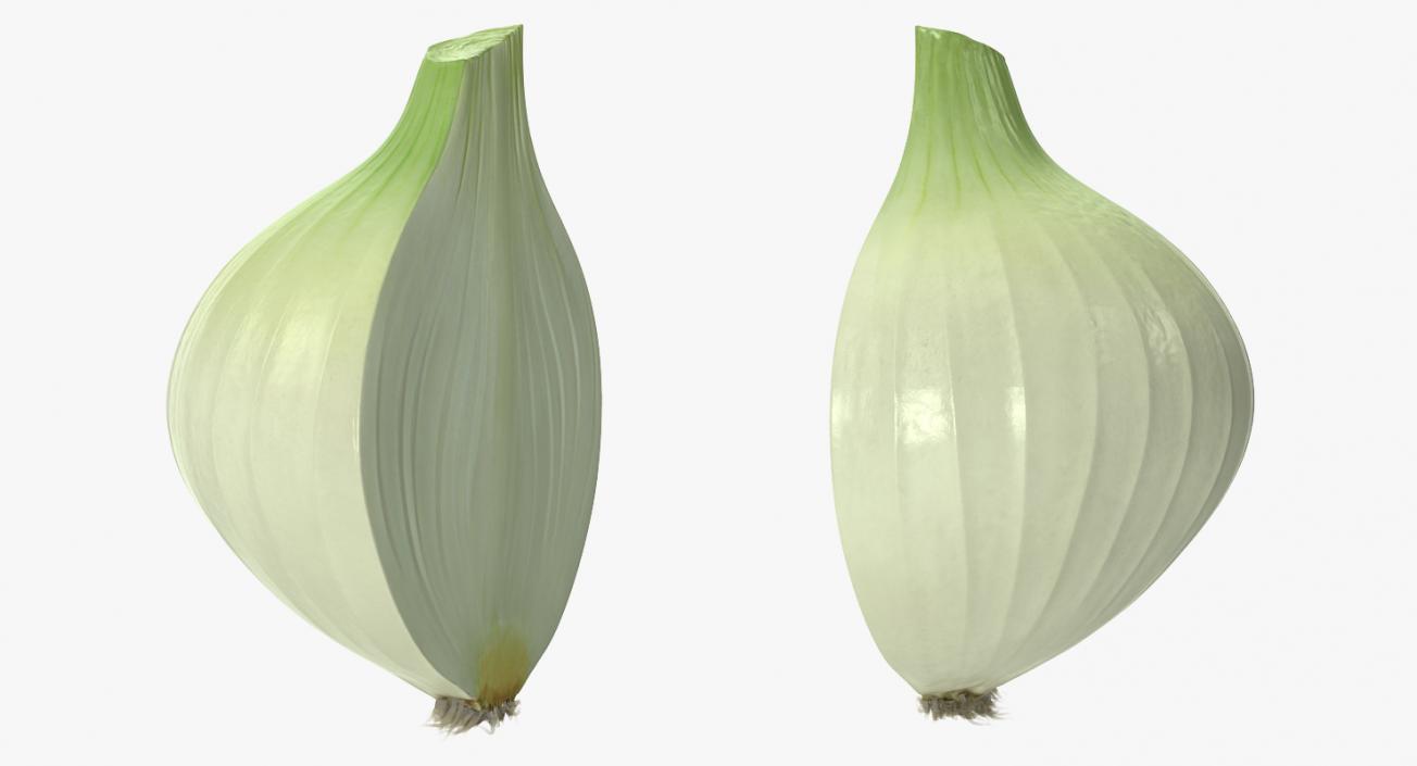 3D Onion Collection 2 model