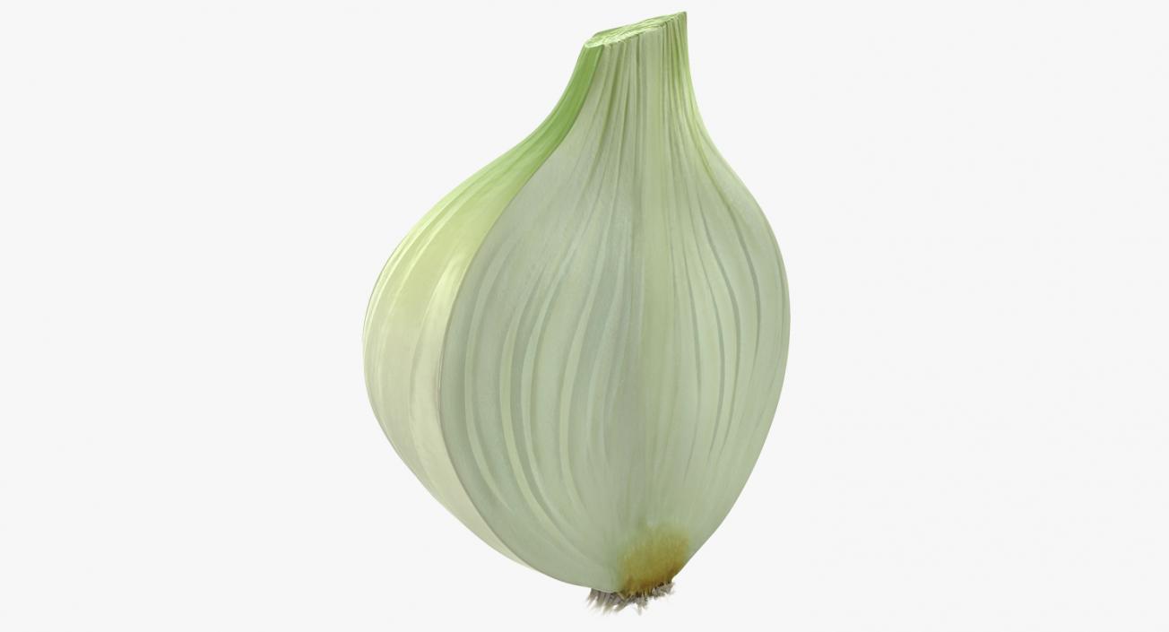 3D Onion Collection 2 model