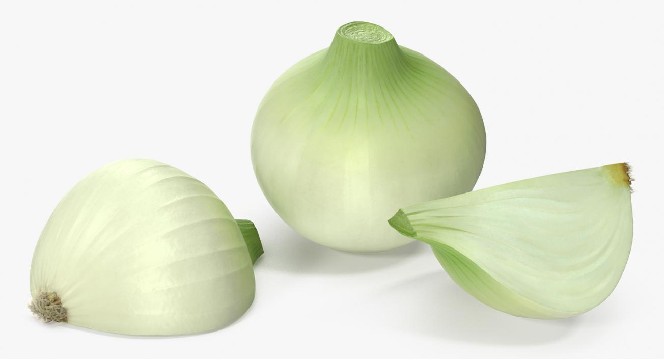 3D Onion Collection 2 model