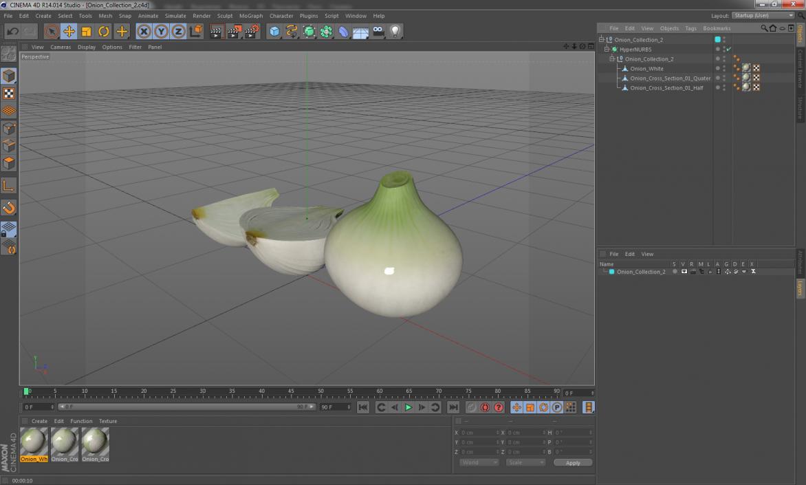 3D Onion Collection 2 model