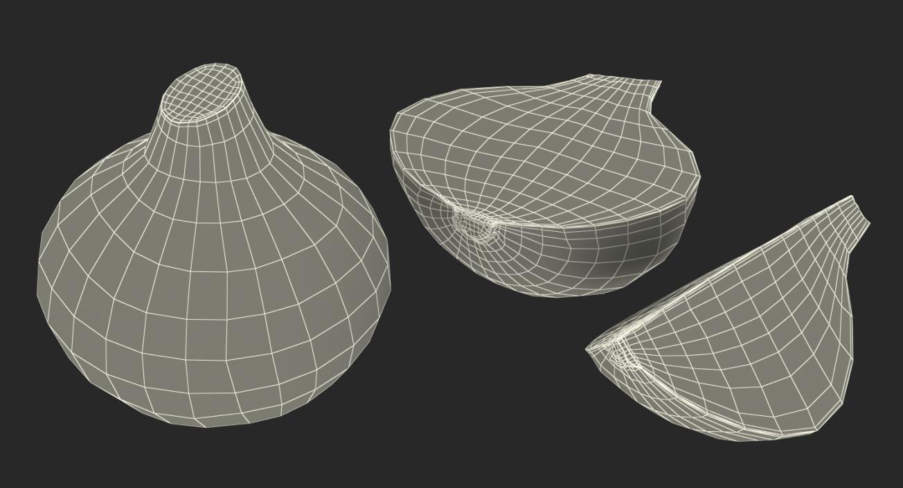 3D Onion Collection 2 model