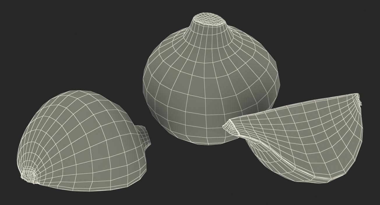 3D Onion Collection 2 model