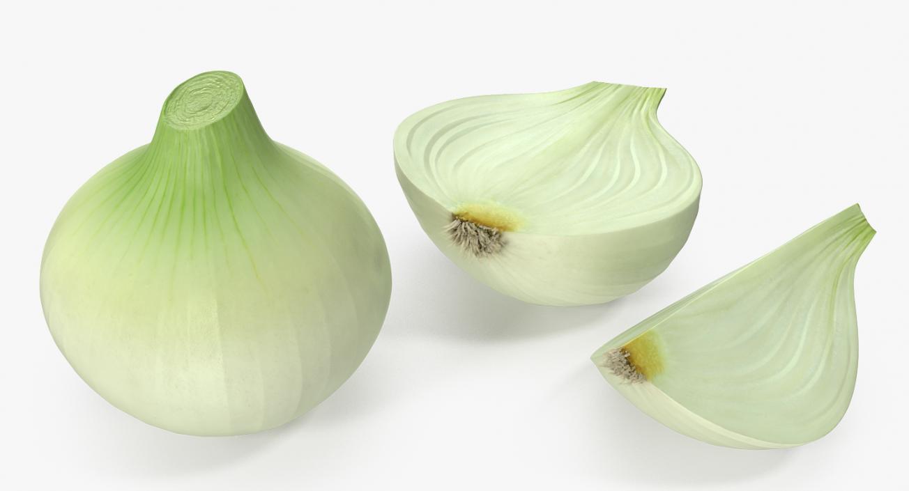 3D Onion Collection 2 model