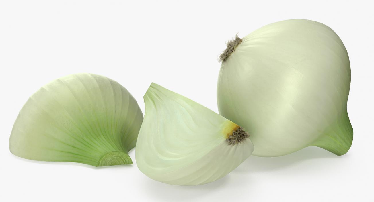 3D Onion Collection 2 model