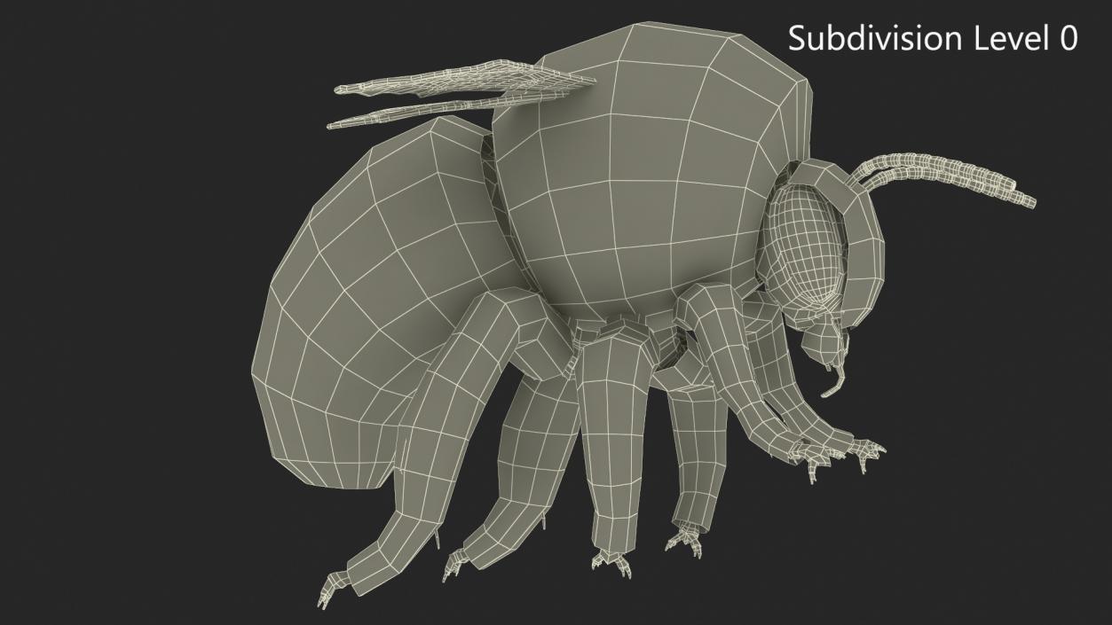 Realistic Bumblebee Insect Fur Rigged 3D